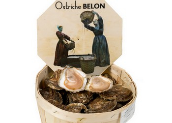 Belon Oysters